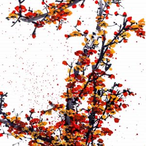Orange Flowers